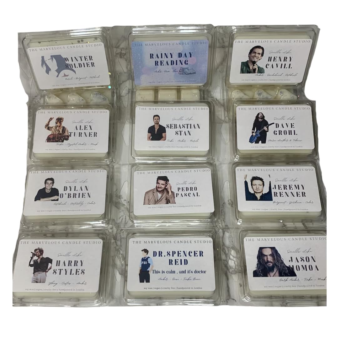 Smells Like Dave Grohl Vegan Candles | Pop Culture Gifts | Celebrity Candles | Birthday Gift Ideas for Her and Him | Funny Novelty Gift (70g Wax Melt)