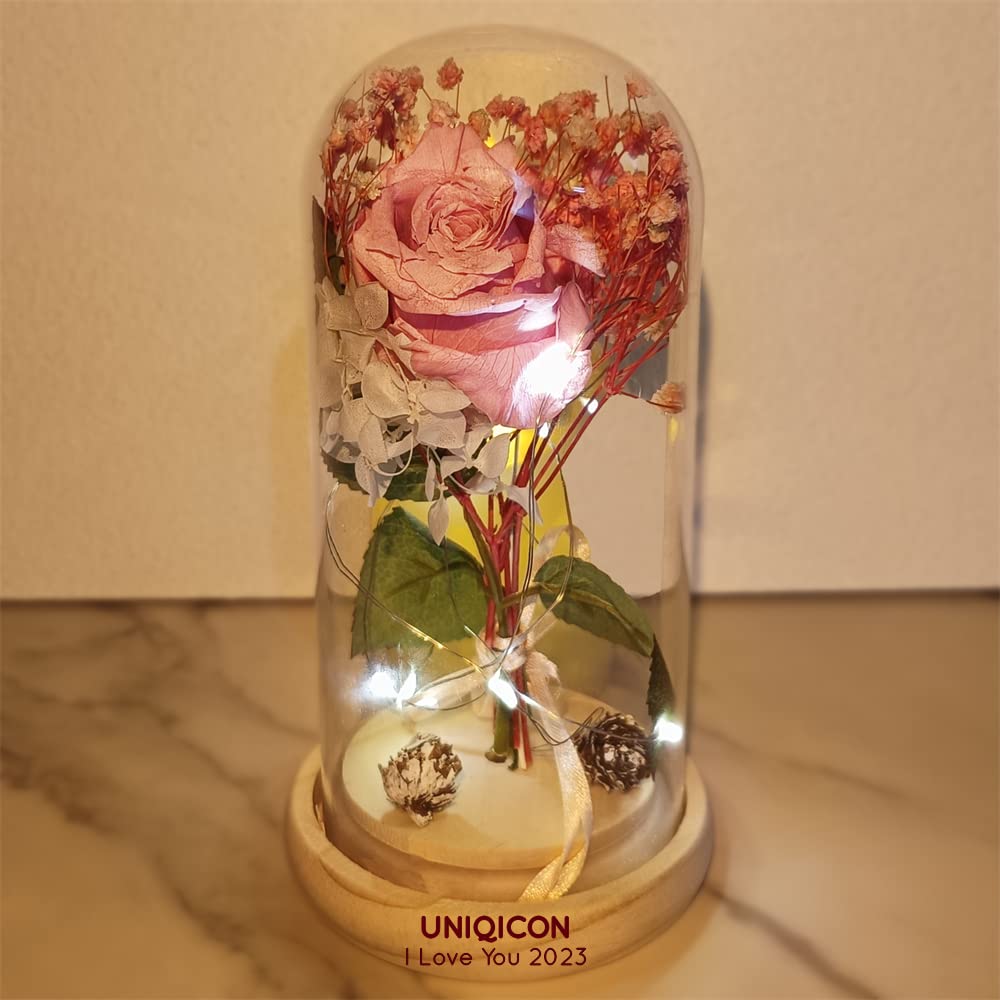 Eternal Rose Enchanted Sparkly Flower Artifical, Beauty and The Beast Infinity Galaxy Preserved Roses Lamp, Forever Glass Dome Gifts for Anniversary Mothers Women Girlfriend Wife Her Birthday
