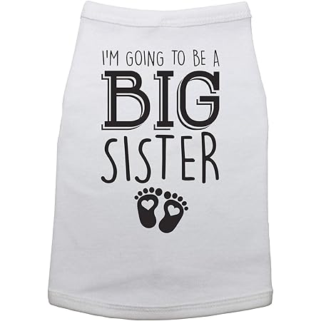 dog shirt that says big sister