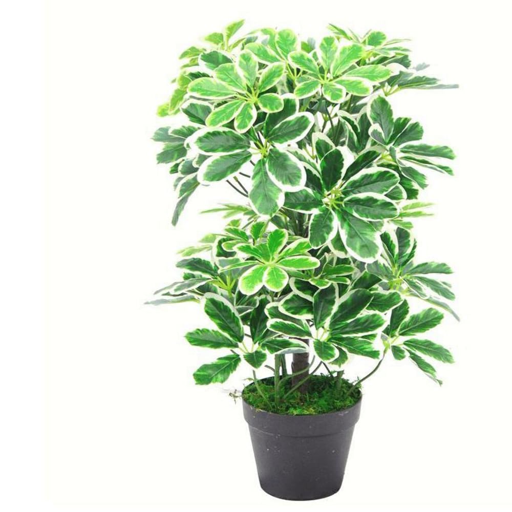 Leaf Artificial Arboricola Evergreen Plant, Dark Green, 55cm