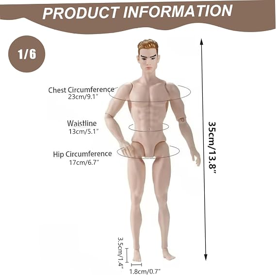 Custom Action Figures, 1/6 Scale Action Figure Multi Jointed Posable Male Muscular Figure Body with Head for Display Doll Collection, White