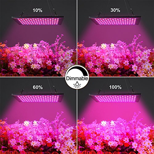 LED Grow Light for Indoor Plants Growing Lamp 289 LEDs 150W Red Blue Spectrum Full Aluminum Dimmable Plant Lights Bulb Panel for Hydroponics Greenhouse Germination Seedling Veg and Flower by Venoya - Thumbnail 3