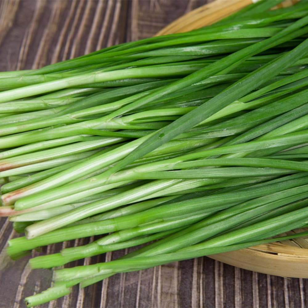 Garlic Chives Seeds, Pack of 30+ Chives Seeds for Planting
