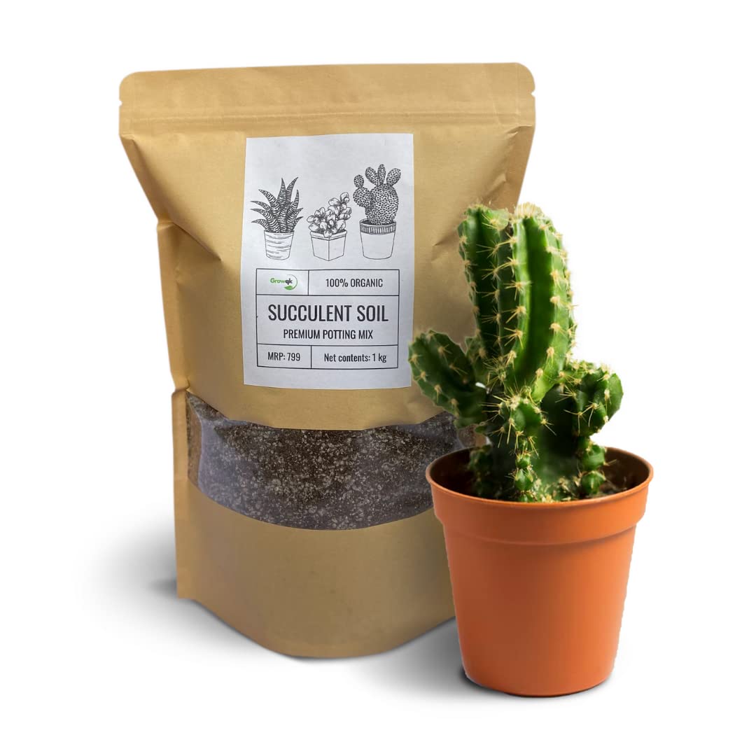 Growqk Premium Succulent Potting Soil Mix - Rich in Perlite - Healthy for Cacti and Succulents | Best for Jade Plant, Aloe Vera, Snake Plants, Cactus or Any Bonsai - 1 KG - Free 100gms Cocopeat (B09Z2CT1LL) Amazon Price History, Amazon Price Tracker