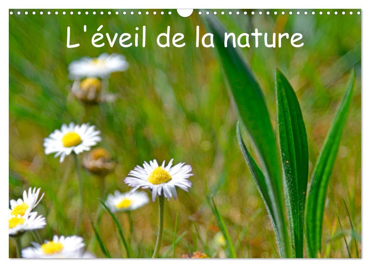 L'éveil de la nature (Wandkalender 2024 DIN A3 quer), CALVENDO Monatskalender: La nature se réveille après l'hiver