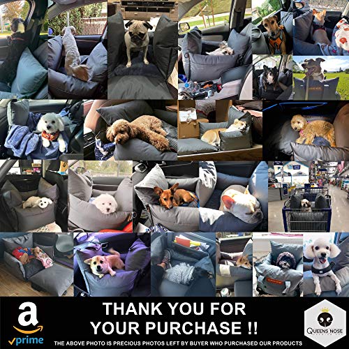 Pet Dog Car Seat Booster With Safety Pillows for Small and Medium Dogs up to 30 lbs - Travel Bed With Handles, Water Resistant, 2 Leashes and Belts