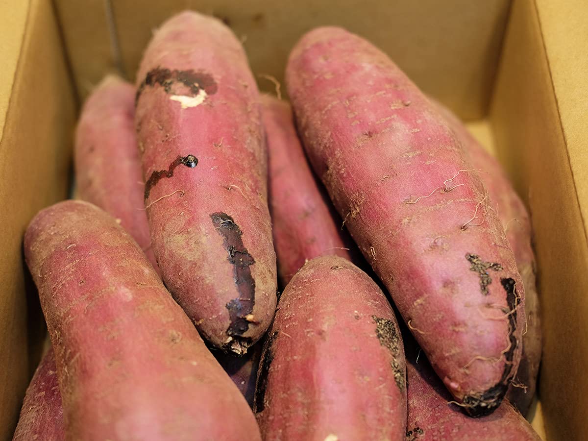 Amazon.co.jp: 茨城県産（JA茨城旭村）さつまいも 旭甘十郎 紅はるか