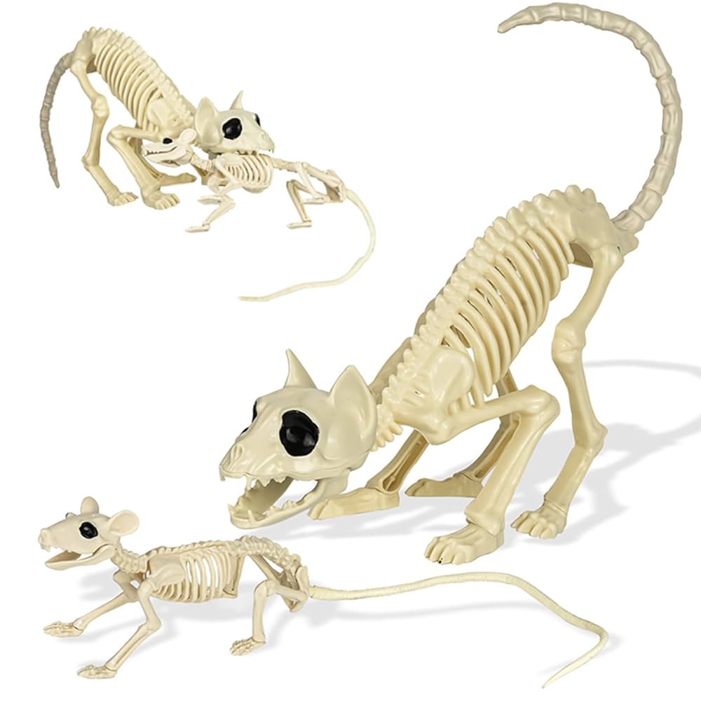 Amazon.co.jp: HOMEGYMFREE スケルトン 猫とネズミのスケルトン