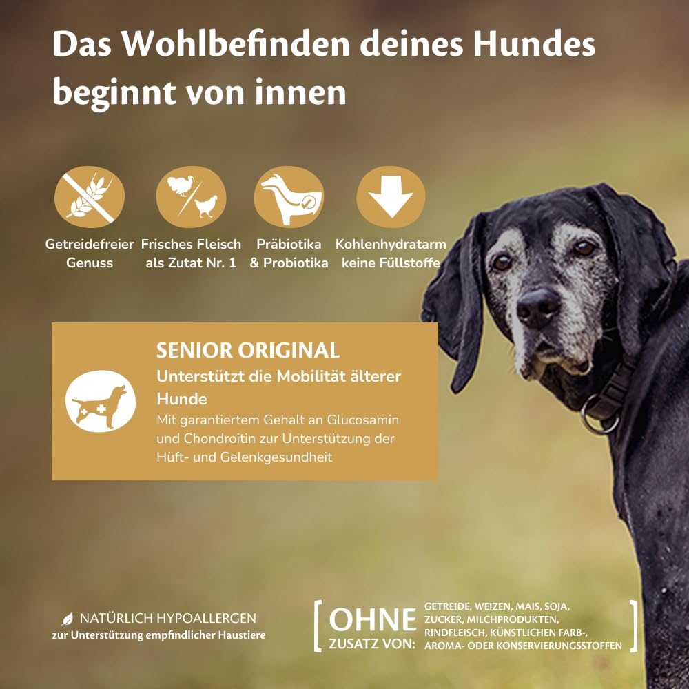 Wellness CORE Senior 10 kg, Huhn & Truthahn – Hundefutter Trocken für ältere Hunde ab 7 Jahren, getreidefrei, natürlich, hypoallergen, proteinreich, unterstützt gesunde Hüften und Gelenke