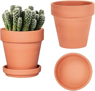 Vensovo 6 Inch Terracotta Clay Pots with Saucer - 2 Pack Durable Medium Planters, Drainage Holes for Indoor Outdoor Plants, Succulents, Crafts