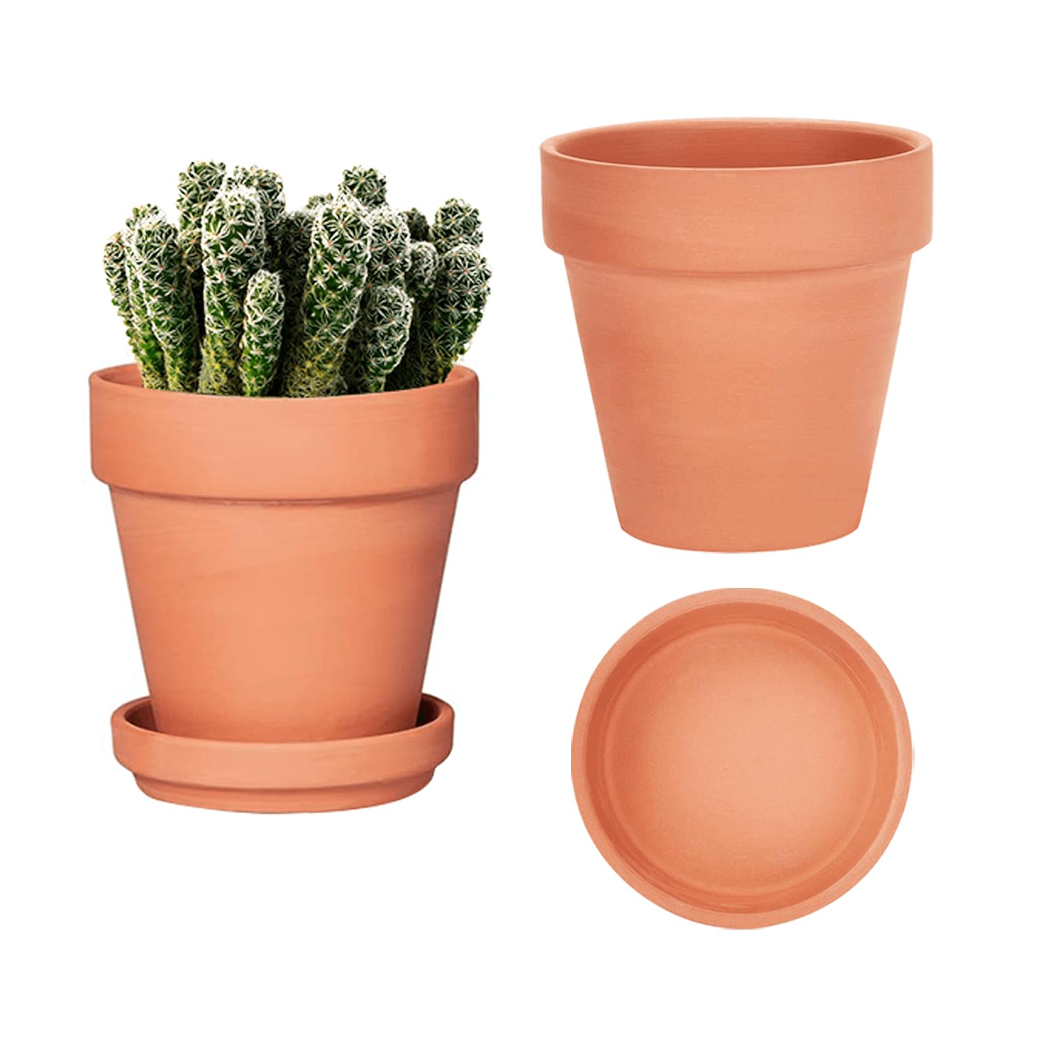 vensovo 2 Pack 6 Inch Terracotta Pots with Saucers and Drainage