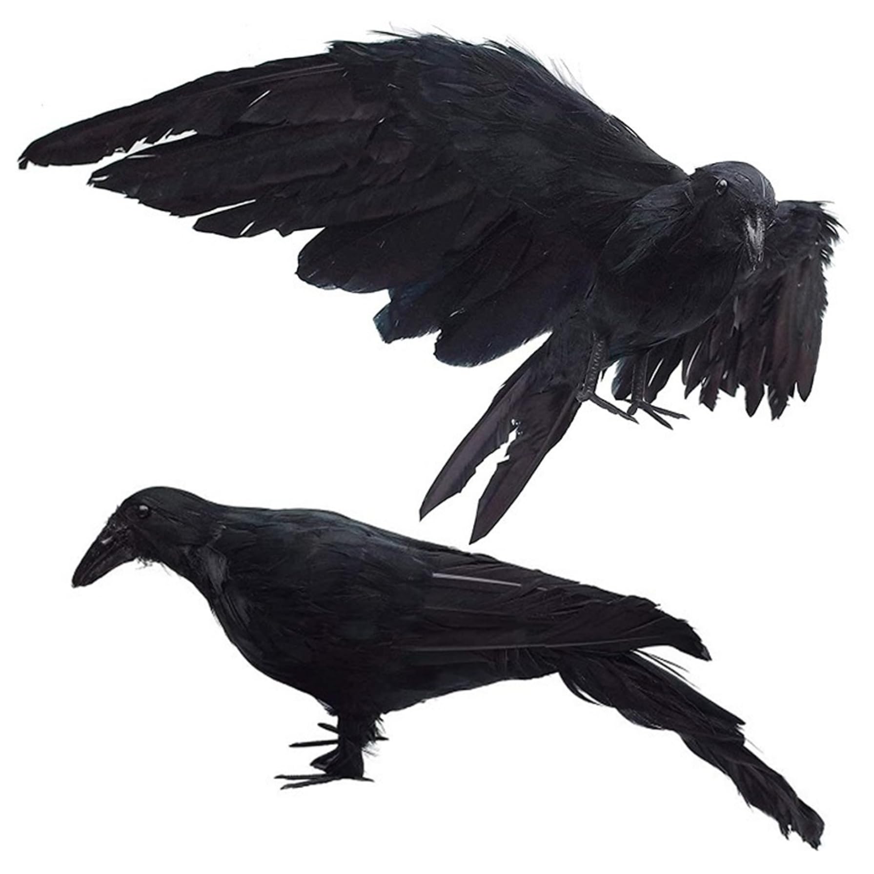Xdyyjrasa Crow - 2Pcs Realistic Raven Decor with Removable Wing, Artificial Dead Crow Decoy for Scaring Birds, Halloween 13x5.5