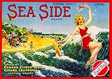 Oxnard, Ventura County Sea Side Girl in The Ocean Lemon Citrus Fruit Crate Box Label Art Print