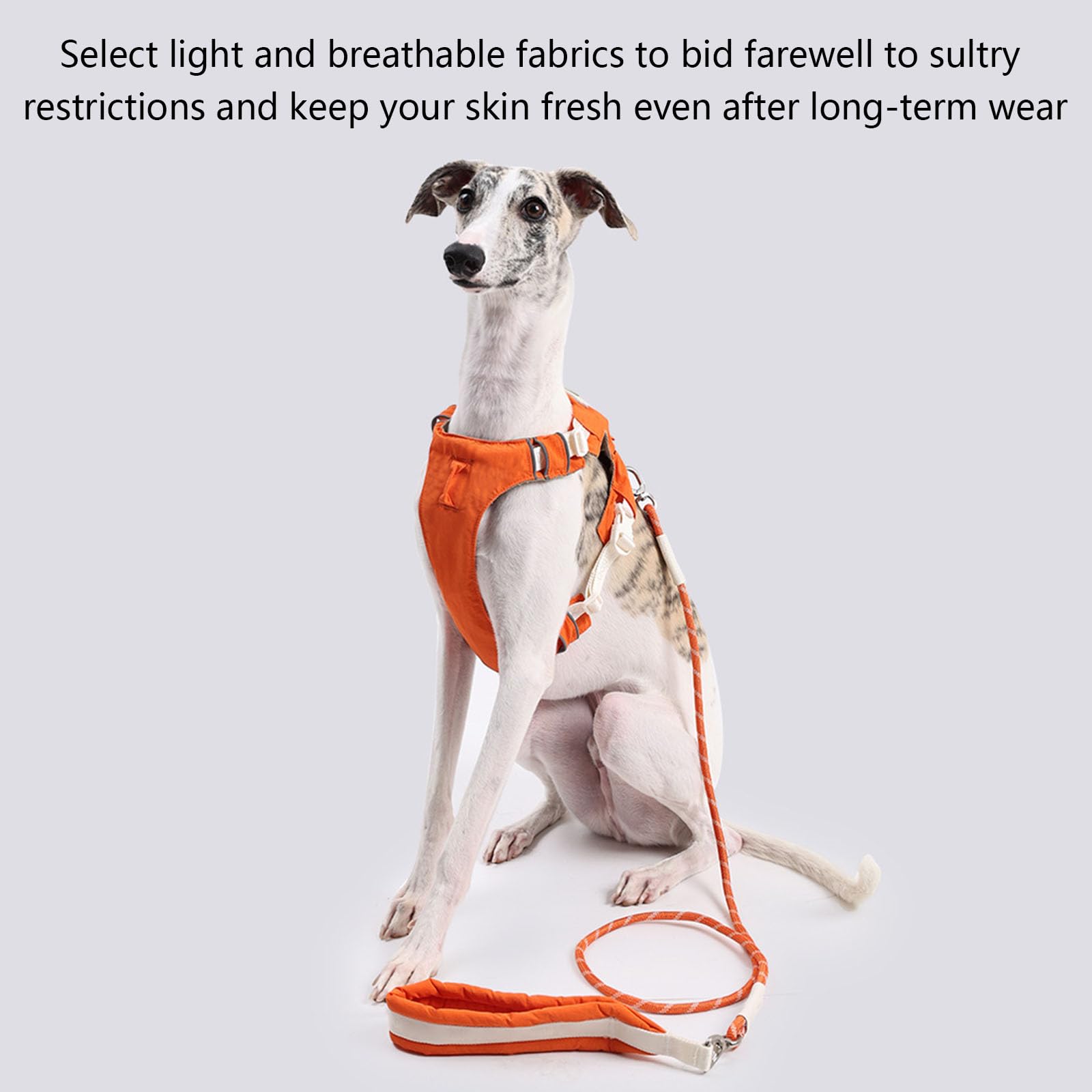 Set di pettorina e guinzaglio rimovibili per cani, gilet riflettente regolabile con comoda corda in nylon per la sicurezza quando si cammina all'aperto, semplice cane con equipaggiamento rimovibile