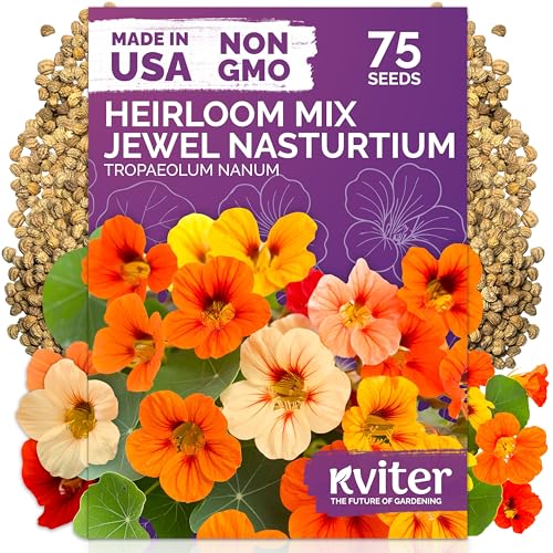 KVITER 75 Mix Jewel Nasturtium Seeds for Planting Outdoors (Tropaeolum Nanum) Heirloom Seed Packet Edible Flower Seeds to Plant Outside & Inside in Garden Containers Hanging Baskets