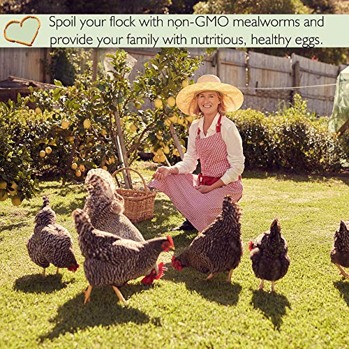 PICKY NEB 100% Non-GMO Dried Mealworms 5 lb - Whole Large Meal Worms Bulk - High-Protein Treats Perfect for Your Chickens, Ducks, Wild Birds