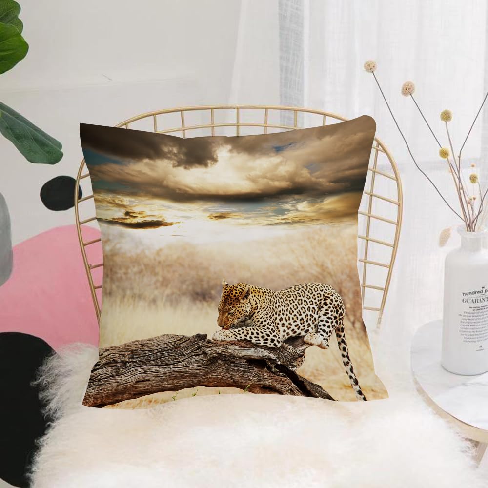 HYOSXW Cushion Cover,Throw Pillow Case Home Decorative for Living Room Bedroom Sofa Chair 16X16 Inch,Game of Safari, Leopard resting under a Dramatic Cloudy Sky Africa Safari,Pillowcase 40X40cm
