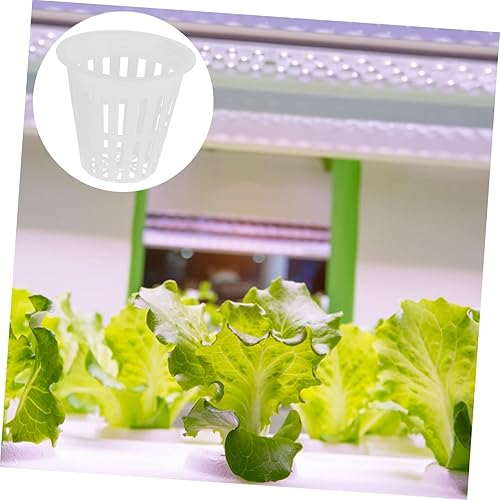 Miniatura 6 de EXQUIMEUBLE 10 Uds. Cesta de plantación de plástico maceta hidropónica maceta transparente maceta acuapónica contenedor de plantación cesta taza