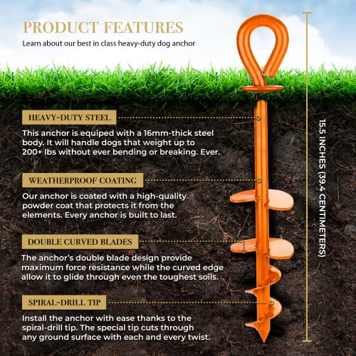 Royal Paw Dog Tie Out Stake - Heavy Duty Dog Stake For Large Dogs Up To 210 Lbs, Dog Stakes For Outside, Dog Anchor, And Dog Gadget | Use Any Dog Tie Out Cable Or Dog Yard Leash (O1-Royal Orange) #TOP2