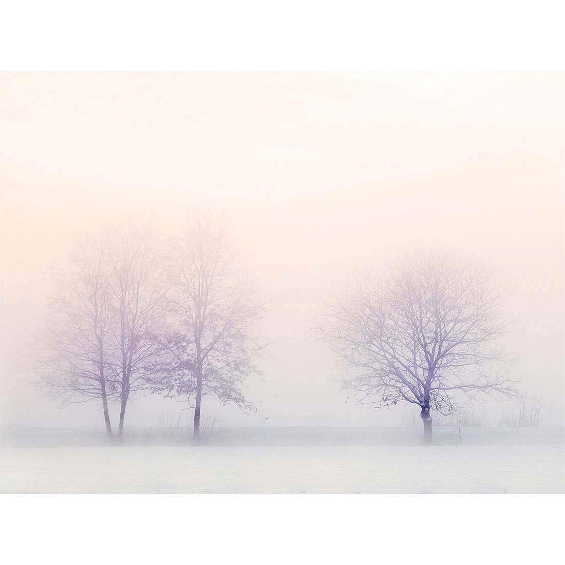 Wee Blue Coo Trees Winter Landscape Snow Art Print Poster Wall Decor 12X16 Inch