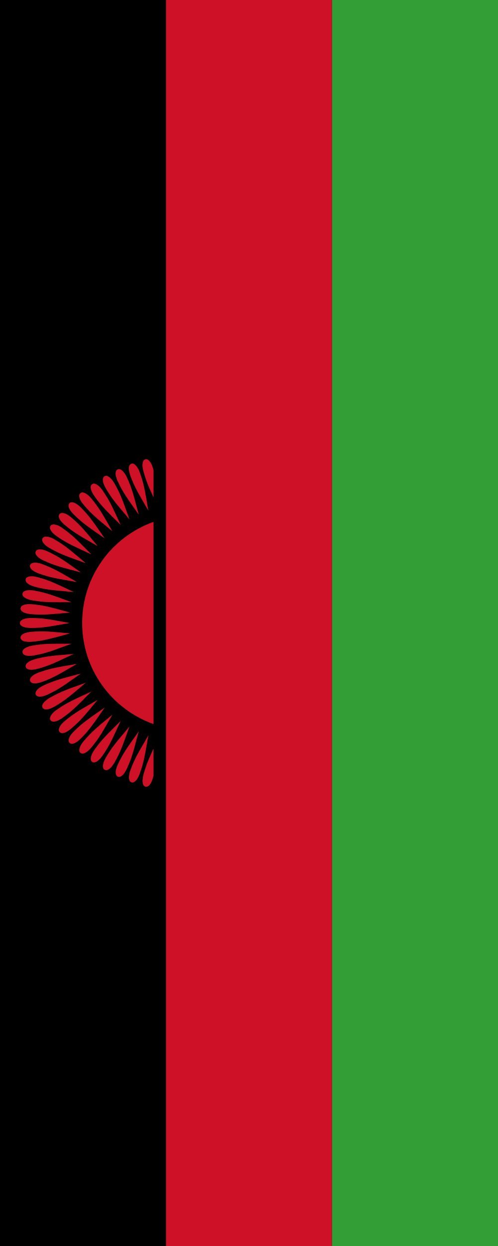 Drapeau Malawi pavillon vertical extérieur grand format 300x120cm 3.5m²