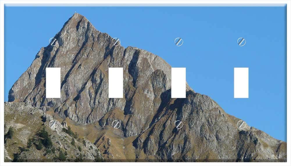 Switch Plate 4 Gang Toggle - HOfats Mountain Summit Cross Cross Hiking 1