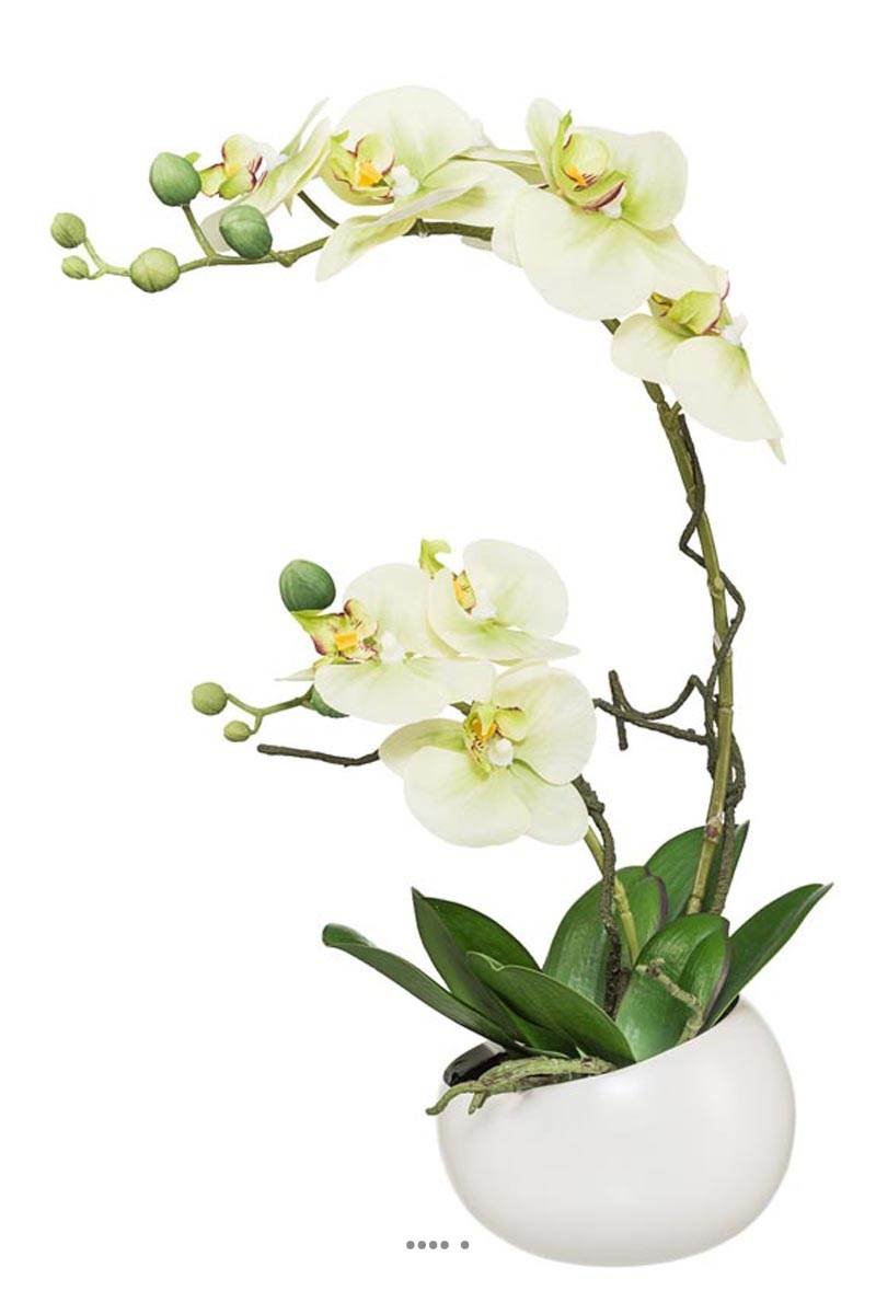 Orquídea ficticia 2 hampas taza cerámica H45cm tocado real crema verde - color: crema verde