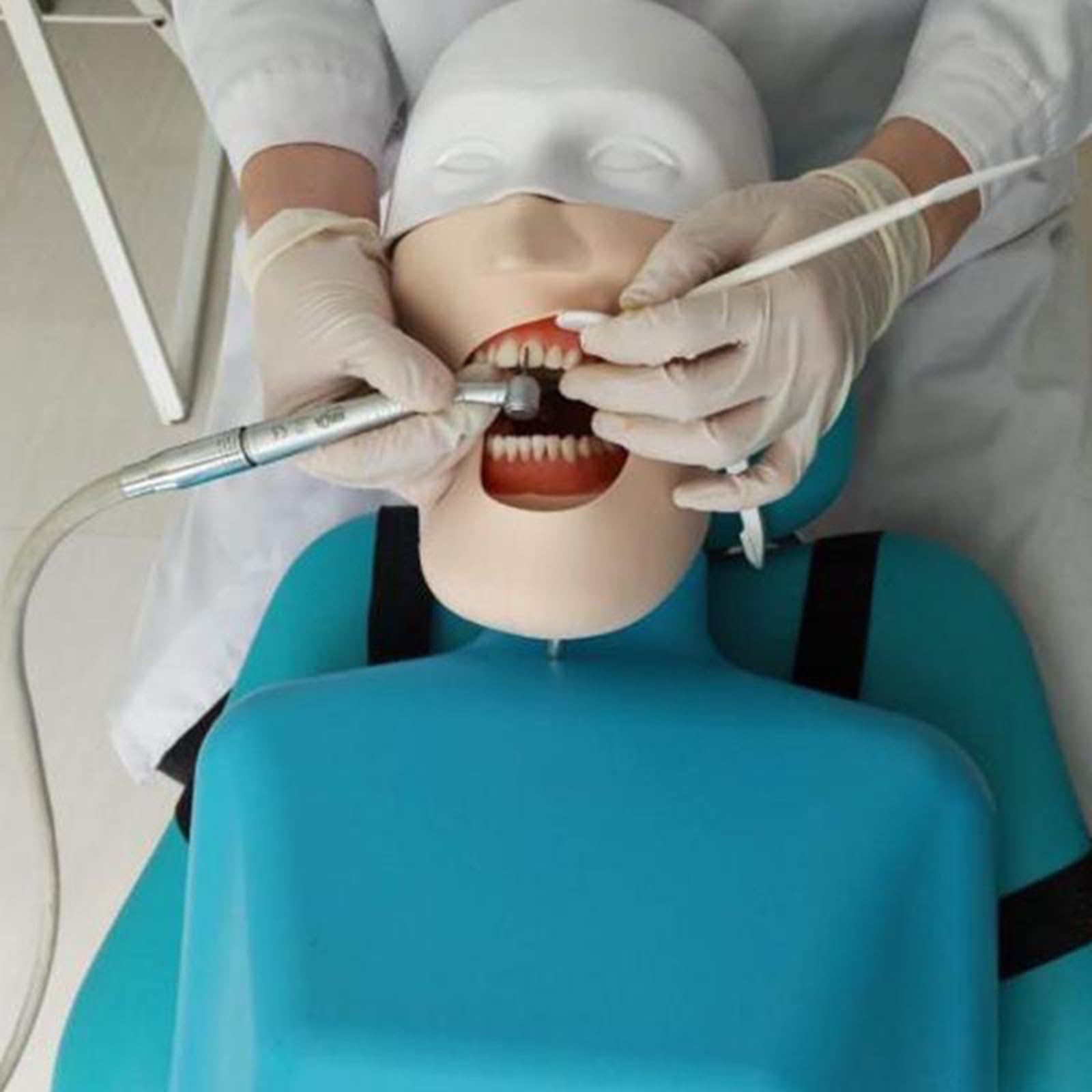 Symulator stomatologiczny manekina głowa fantomowa model edukacyjny z 28 odłączanymi zębami, narzędzie do praktyki dentystycznej, idealny do treningu stomatologicznego i rozwoju umiejętności