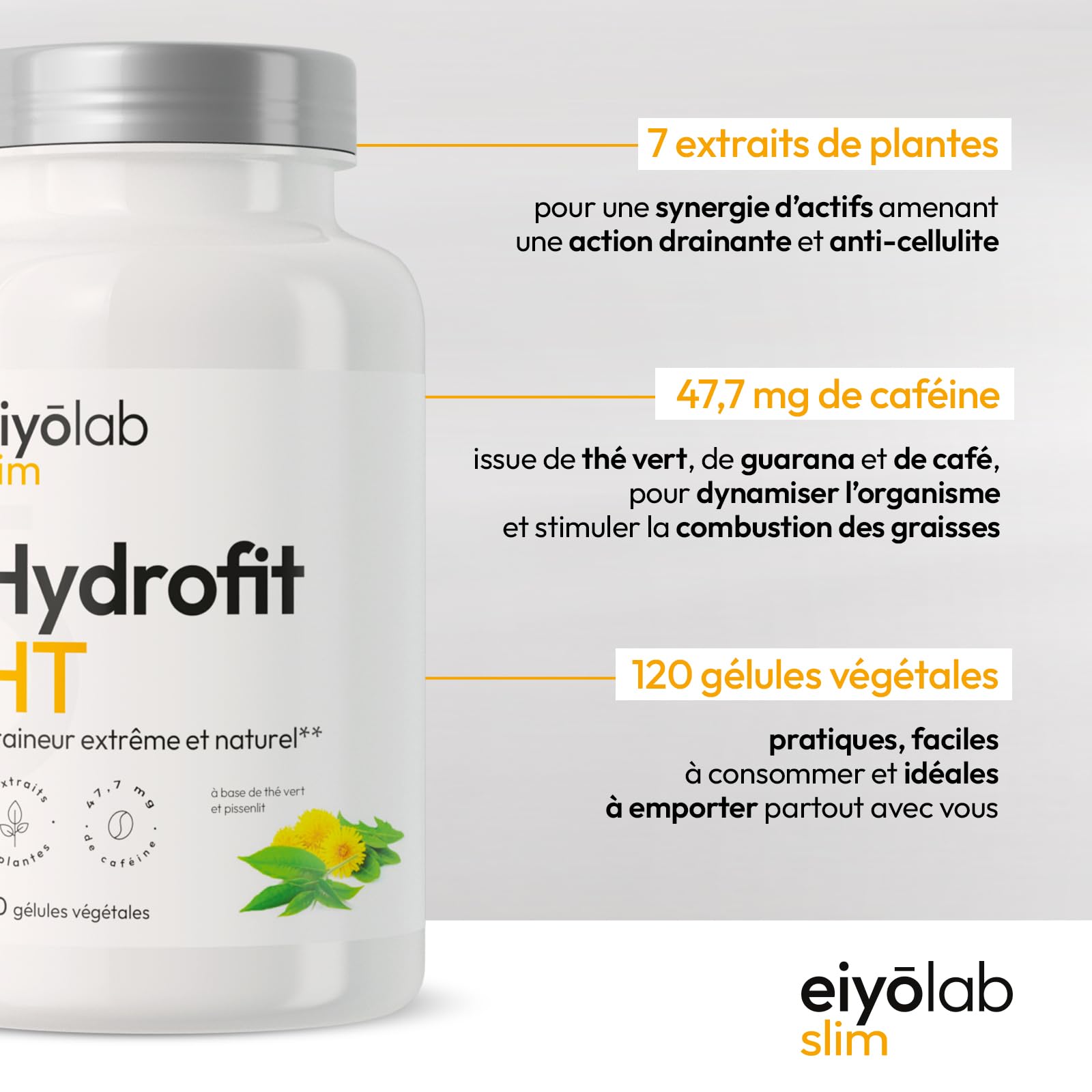 HYDROFIT HT | Detox Minceur Puissant | Draineur Naturel Anti-Cellulite et Rétention d’eau | Complexe de 7 Plantes Diurétiques et Dépuratives + Caféine | 120 Gélules Vegan pour Homme et Femme | Eiyolab