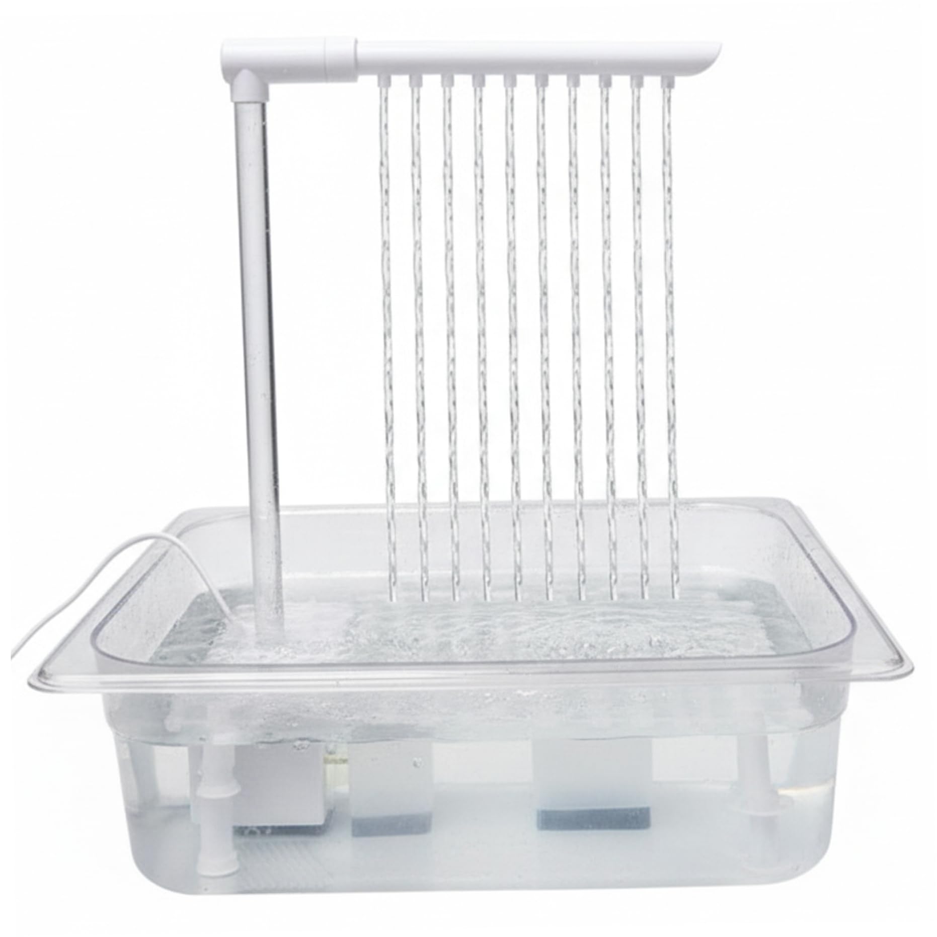 Bain d'oiseaux automatique avec fontaine de pluie pour cage
