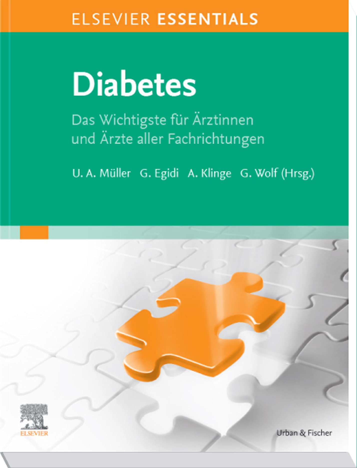 ELSEVIER ESSENTIALS Diabetes: Das Wichtigste für Ärztinnen und Ärzte aller Fachrichtungen (MONOGRAPHIE - Fachbuch - Urban & Fischer-Verlag)