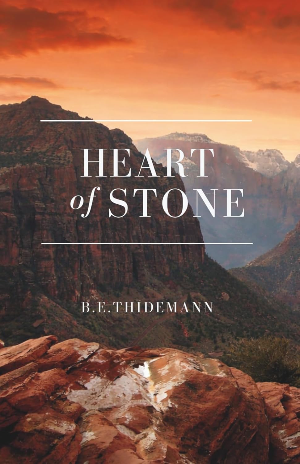 Heart of Stone      Paperback – February 24, 2026