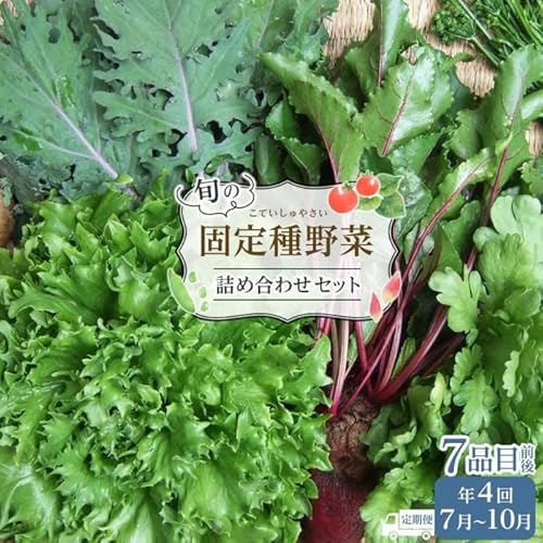 [定期便]野菜[4回定期便] 旬の「固定種」野菜 バイオダイナミック農業 7品目前後(7月〜10月のお届け)冷蔵配送