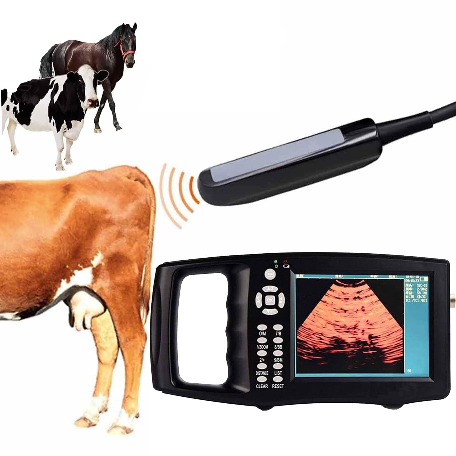 Scanner Ad Ultrasuoni Portatile per Veterinaria, 3 Opzioni Sonda, (B,M,BM, B+B, 4B) modalità Display, Schermo HD da 5,6 Pollici, per Pecora, Cane, Gatto, Maiale, Cavallo, Mucca,C