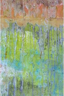 ArtDirect Washington, Fort Hayden Abstract painted wall Unframed Art Print Giclee Poster by Paulson, Don - Ready for Framing with Customization Sizes 7x10, 9x14, 13x20, 24x36, 32x48, and 40x60 Inches