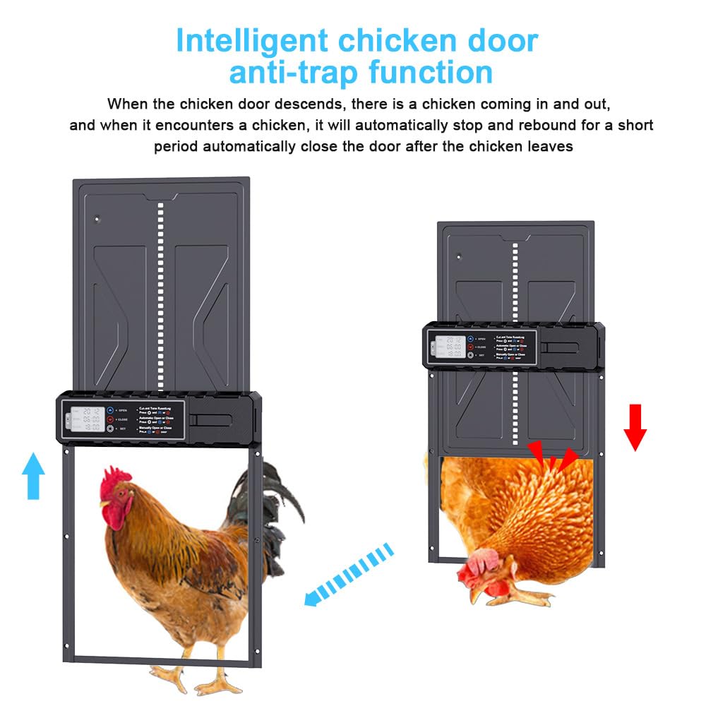 NEWFUN Puerta Gallinero Automatica, Aleación de Aluminio, Gallinero Automático con Pantalla Grande Resistente al Agua, Temporizador, Protección Inteligente contra Atrapamientos