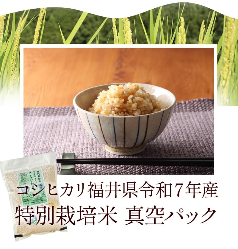 Amazon.co.jp: 発芽玄米 無農薬・無化学肥料栽培 無農薬コシヒカリ