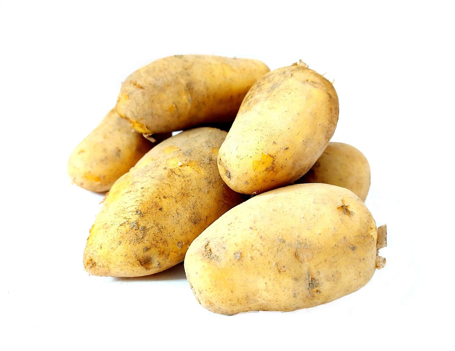 Frische Sieglinde festkochende Speisekartoffeln Kartoffel 10 KG Ernte 2025 aus Bayern festkochend Salatkartoffel zum Grillen für Kartoffelsalat Pellkartoffeln Bratkartoffeln Pommes Frites