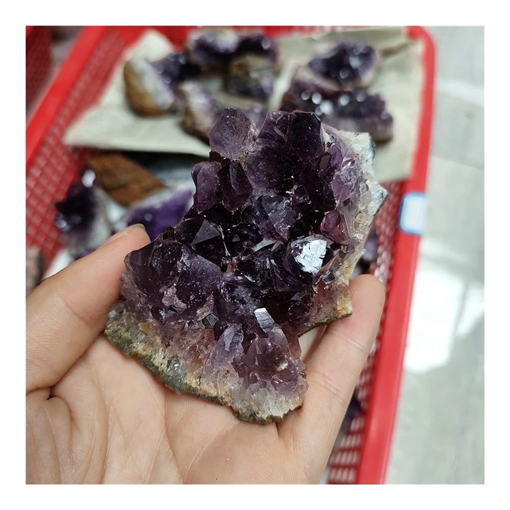 FUERLI Espécimen de Cristal de racimo de Cuarzo de geoda de Amatista Natural Artesanal de Piedra FZUGEDRLI