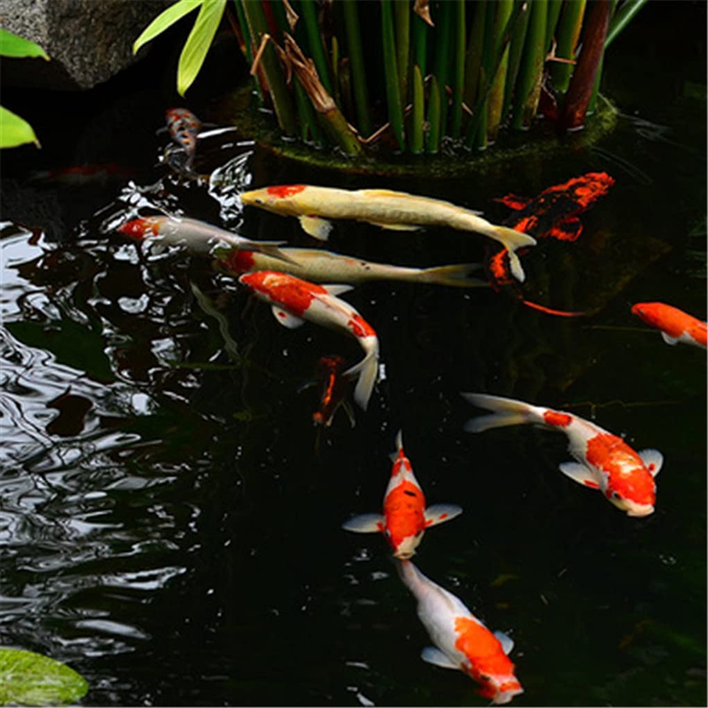 Teichfolien Fisch und Pflanzenfreundlich Teichfolie Schwarz Teichplane Dicke 0.2mm Teichmembran Fountain Teichleiner Teichhäute Liner Wasserdichtes Futter Tuch Für Garten,Schwimmteich (2×9m)