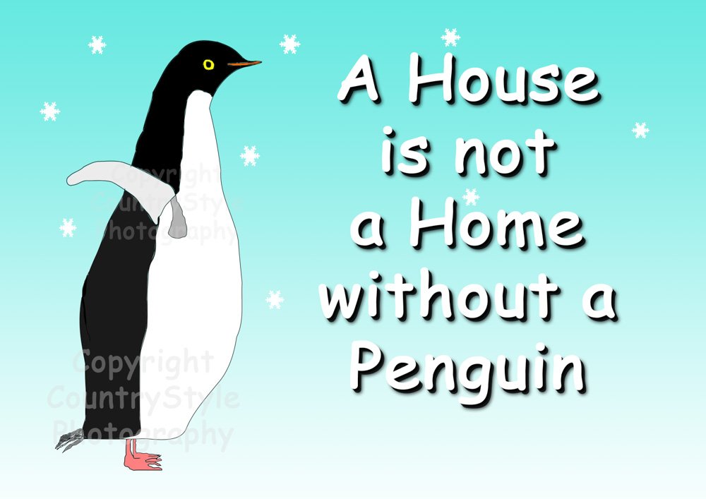 Countrystyle Gifts White Funny Penguin Fridge Magnet