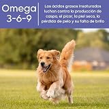 Ver la foto 3
