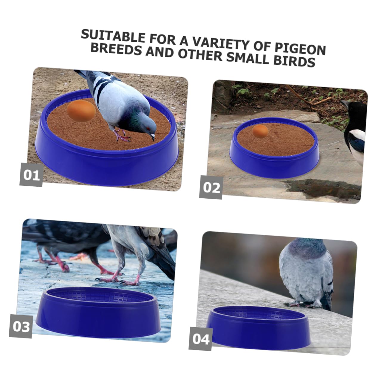 Operitacx Ciotole Base Piccioni Nidificazione e Pezzi 8 di Plastica in Allevamento Blu Antiscivolo Sano Piccoli Uccelli e Colombe