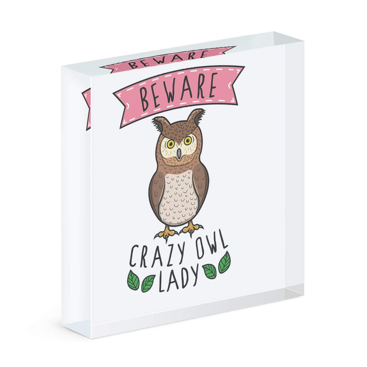 Cadre photo bloc acrylique hibou idée cadeau originale pour femme rigolote