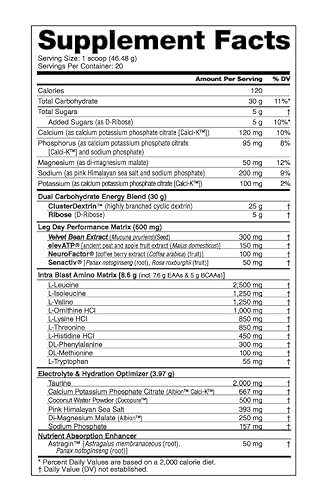Nutrabio Leg Day Intra Carb Supplement – Advanced Carbohydrate Complex – Amino Acid Eaa/Bcaa Formula – Electrolyte Blend For Recovery And Performance, Peach Mango, 20 Servings #TOP1