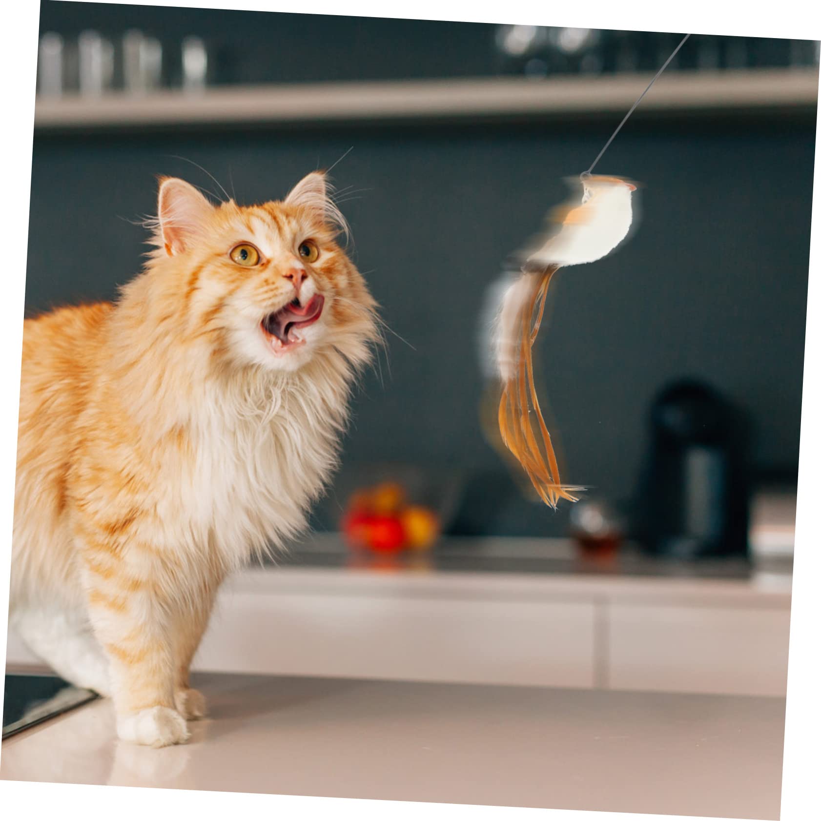 VANZACK 4ensembles à Plumes pour Chat avec Têtes De Rechange De Jouets Interactifs pour Chats Intérieur Compris Têtes Forme De Lézard De Guêpe De Cigale