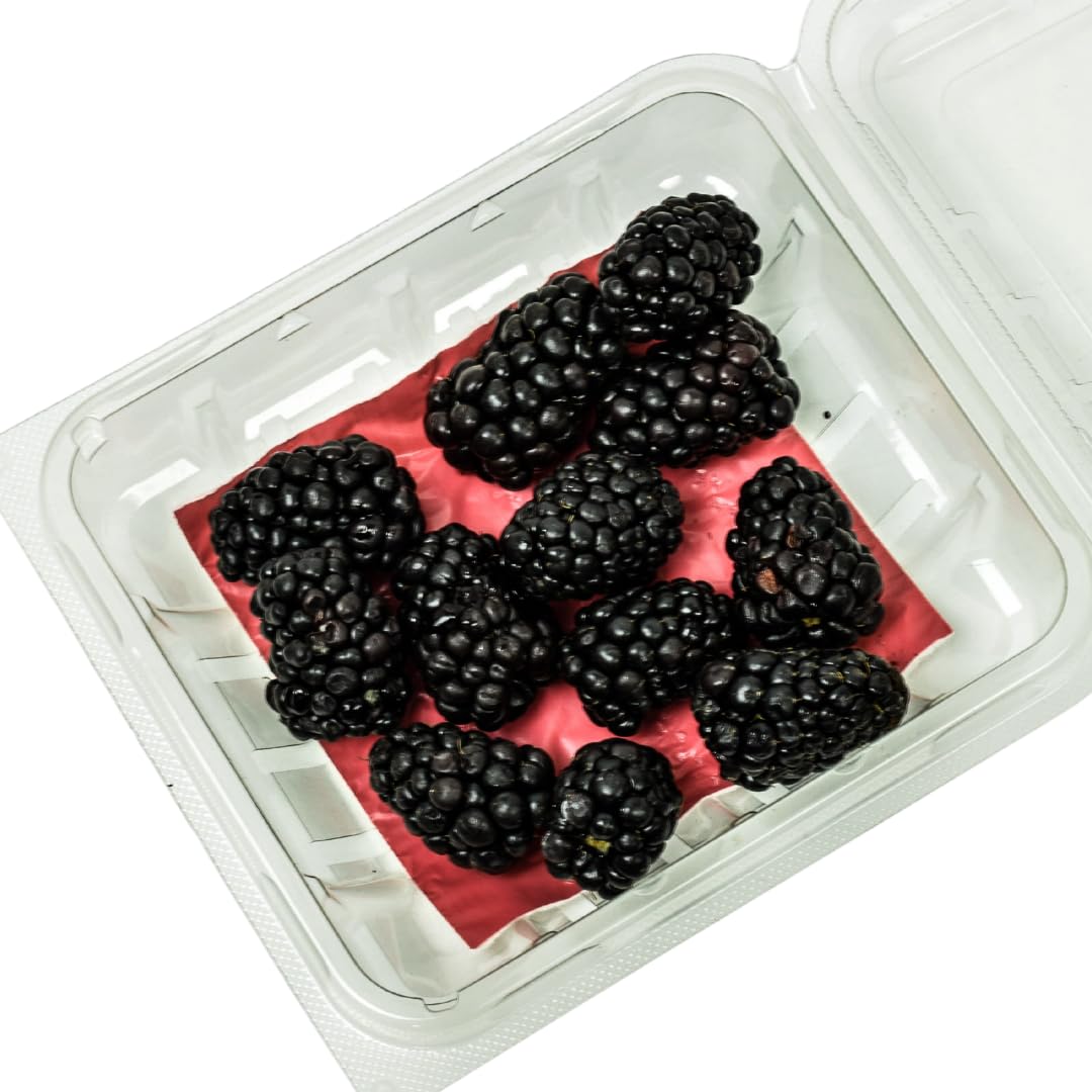 Moisture Absorbent Pads for Fruit and Microgreen Plastic Clamshell Containers – Pack of 100 – 3.25” x 3.25” – Fits Pint and Half Pint Clamshell Containers-image-8