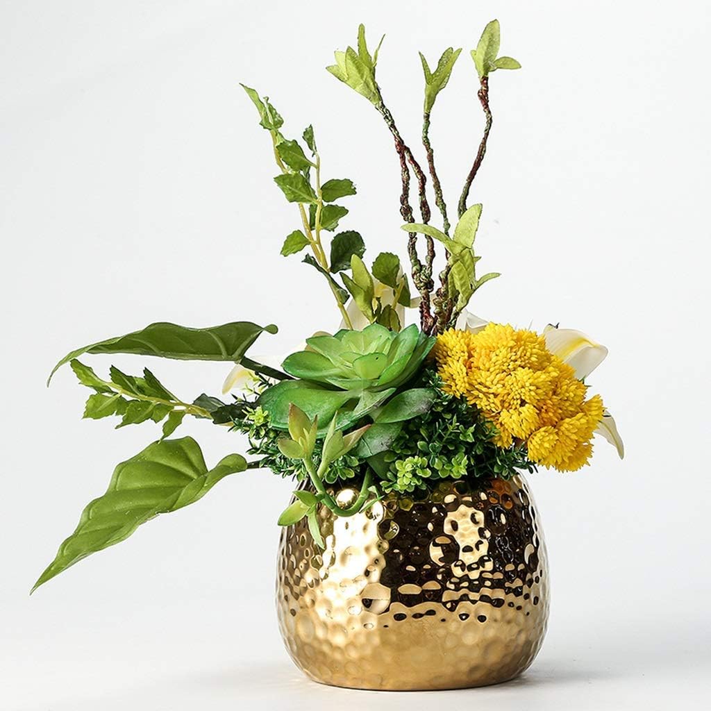 レア品[キューピー人形]オオイケ/Kewpie ローズオニール アロハ 約28