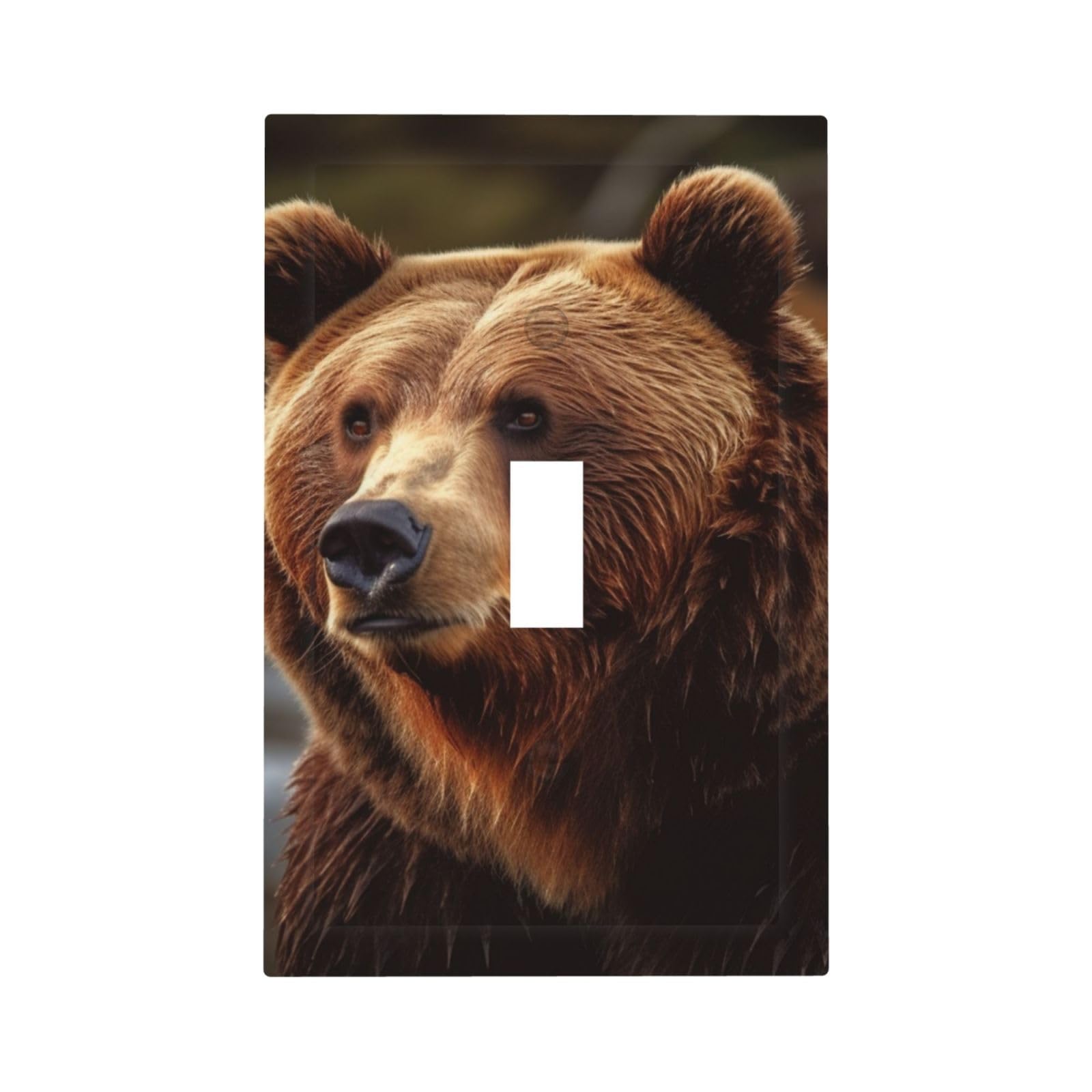 1-Gang Decorator Wall Plate Grizzly Bear Light Switch Cover Single Gang Receptacle Outlet Wall Plate Mid Size 5" x 3" Wallplate Unbreakable Polycarbonate Outlet Faceplates Covers
