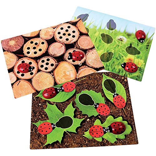 Constructive Playthings Ladybug Early Number Set with 22 Ladybugs and 16 Plastic Cards to Develop Number Concepts for Ages 3 Years and Up